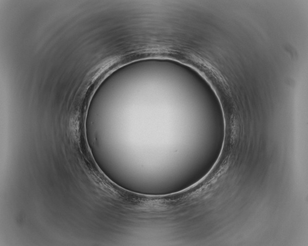 X0000113611162200909181413