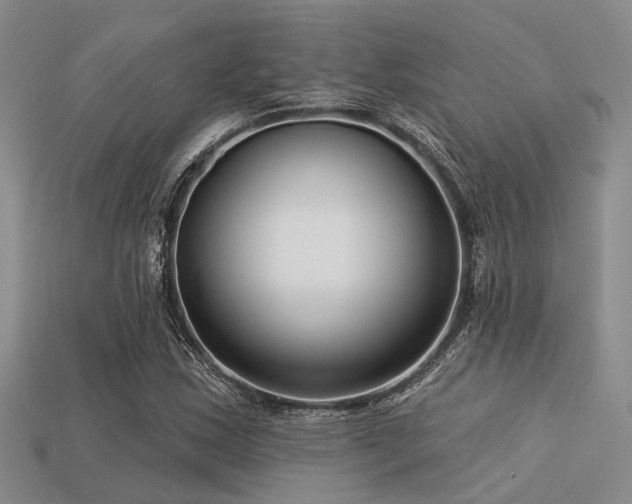 X0000113611163200909181413