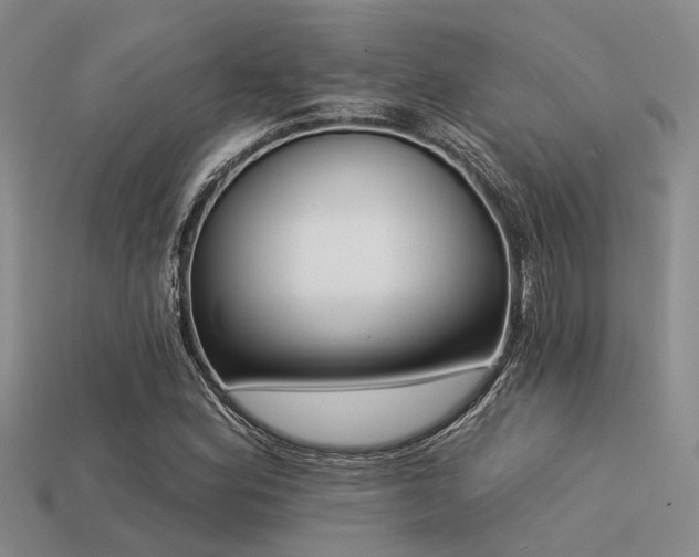X0000113611164200909181413