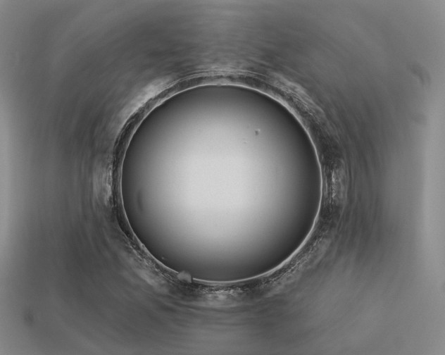 X0000113611165200909181413