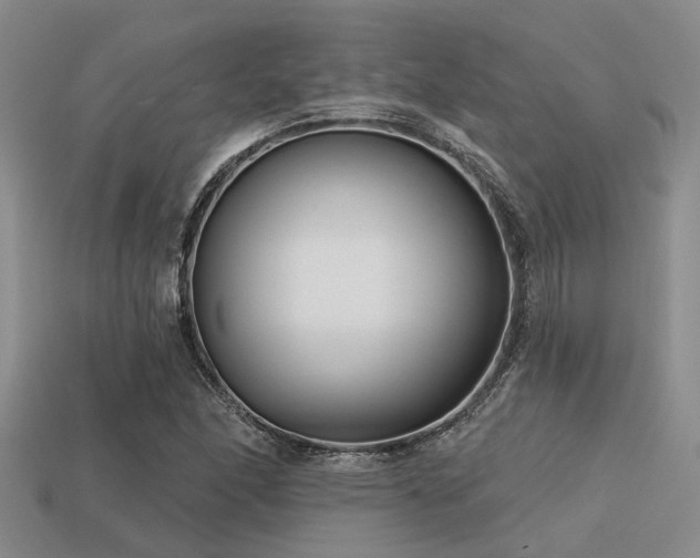 X0000113611166200909181413