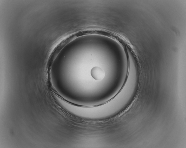 X0000113611167200909181413
