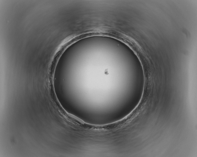 X0000113611168200909181413