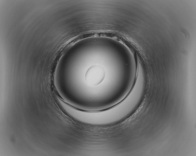 X0000113611169200909181413