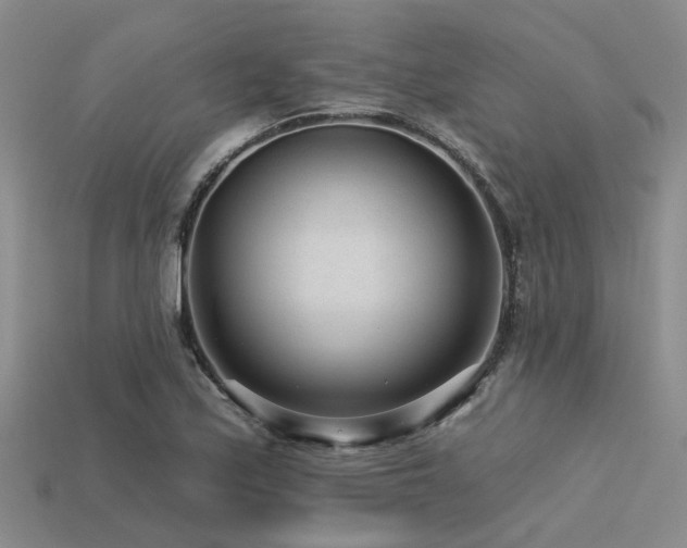 X0000113611171200909181413