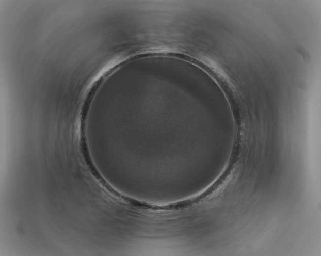 X0000113611173200909181413
