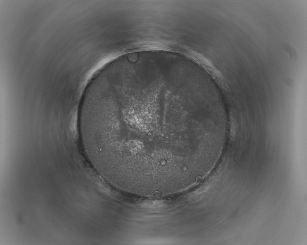 X0000113611174200909181413