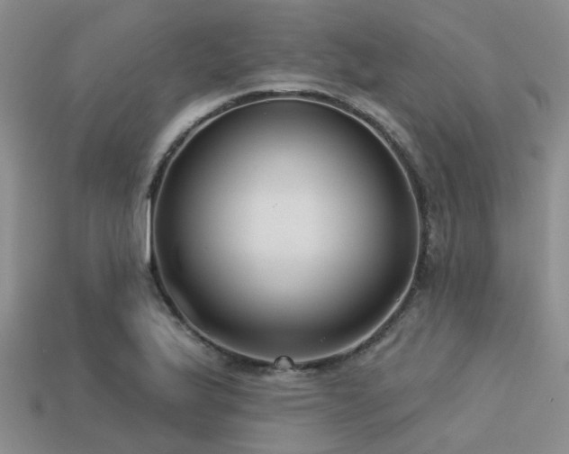 X0000113611175200909181413