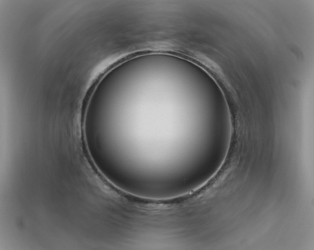 X0000113611176200909181413