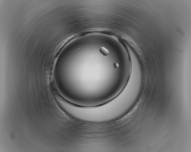 X0000113611177200909181413