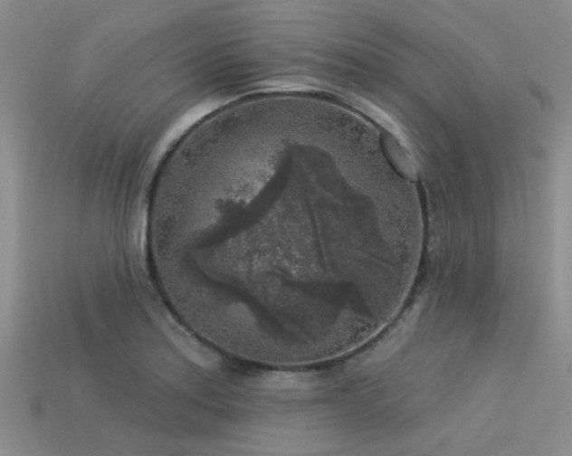 X0000113611179200909181413