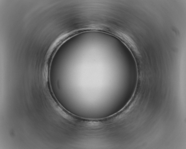 X0000113611180200909181413