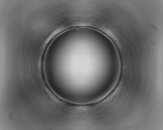 X0000113611181200909181413