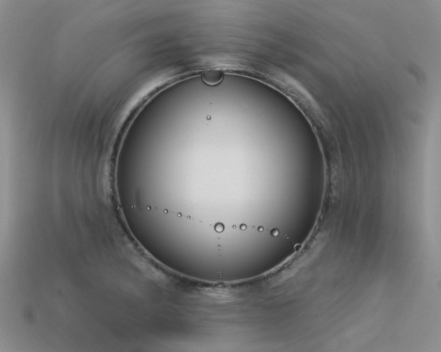 X0000113611182200909181413