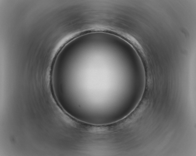 X0000113611183200909181413