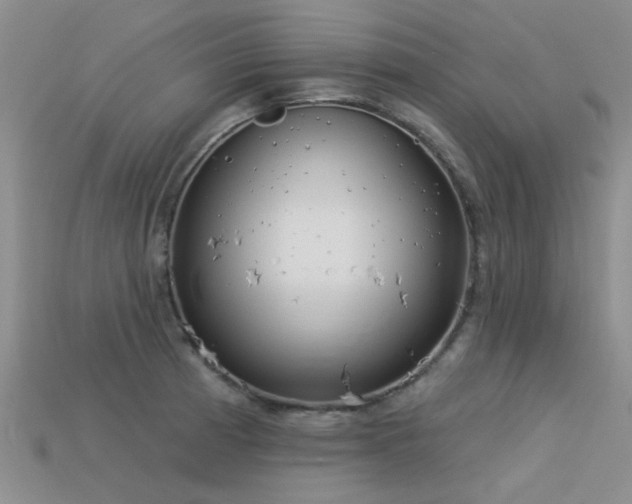 X0000113611185200909181413
