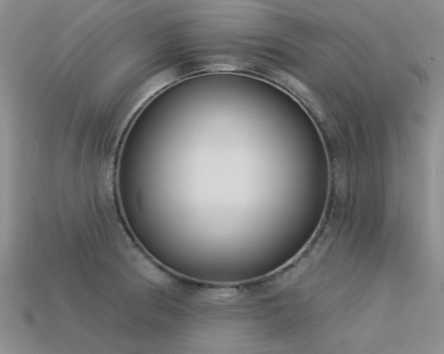 X0000113611186200909181413