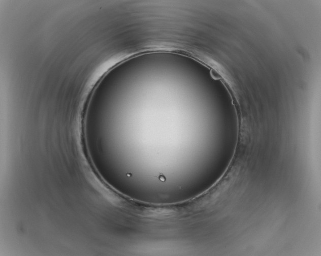 X0000113611187200909181413