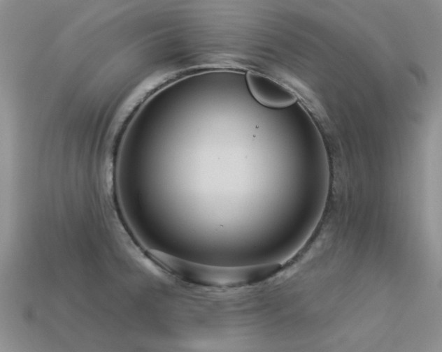 X0000113611188200909181413