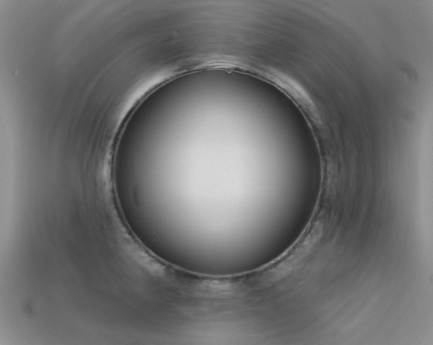 X0000113611190200909181413