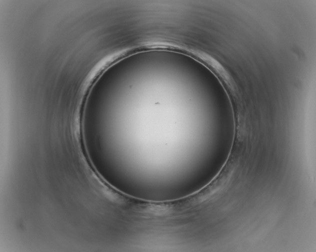 X0000113611191200909181413