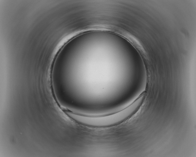 X0000113611192200909181413
