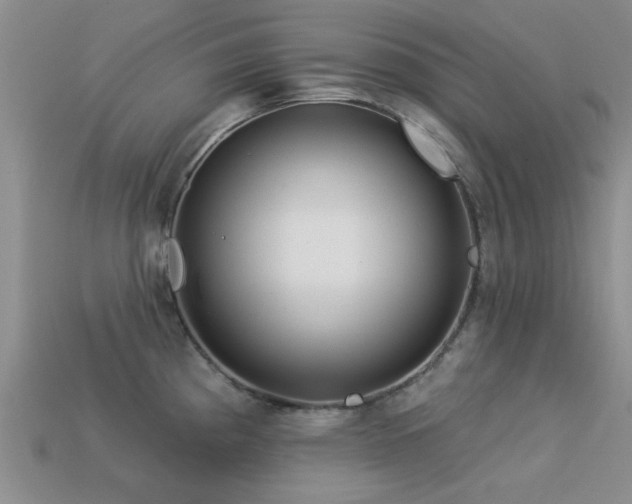 X0000113611193200909181413