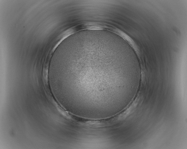X0000113611194200909181413
