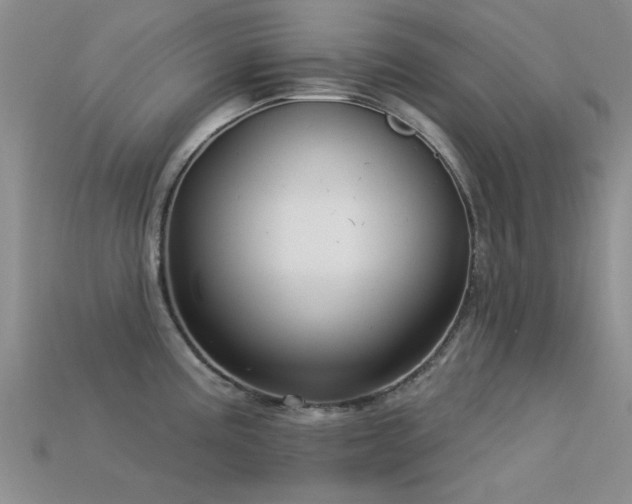 X0000113611195200909181413