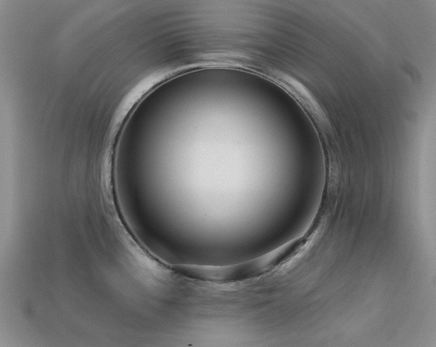 X0000113611196200909181413