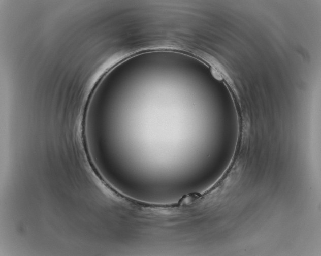 X0000113611197200909181413