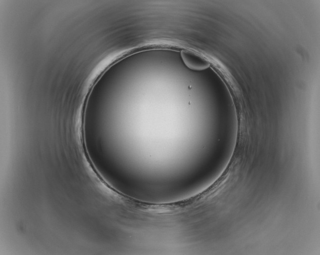 X0000113611199200909181413