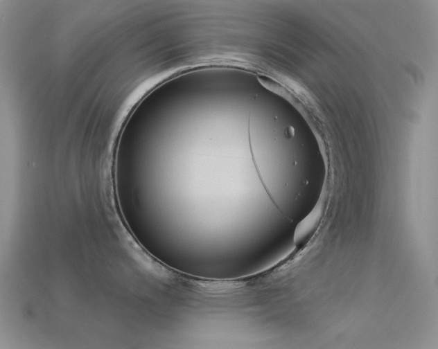 X0000113611200200909181413