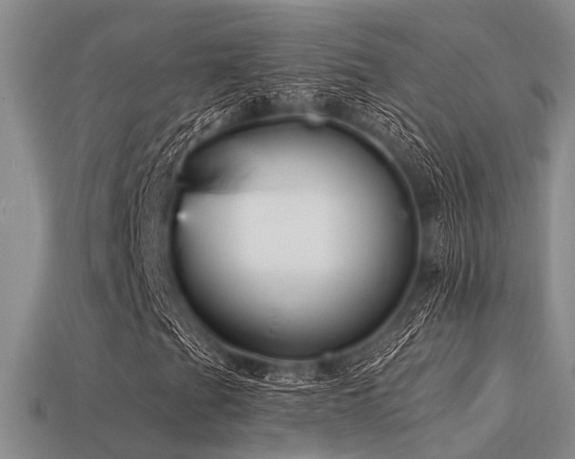 X0000113611201200909181412