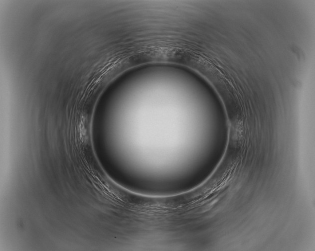 X0000113611202200909181412