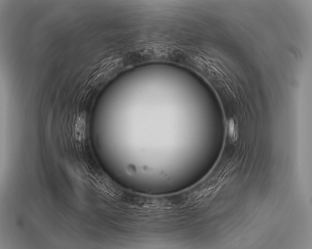 X0000113611203200909181412