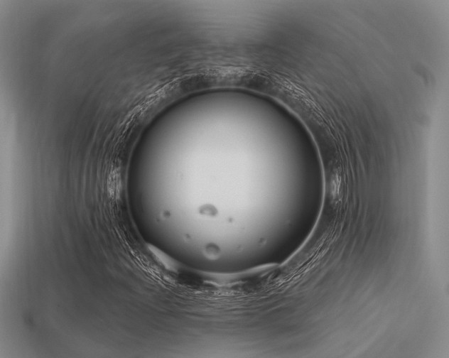 X0000113611204200909181412