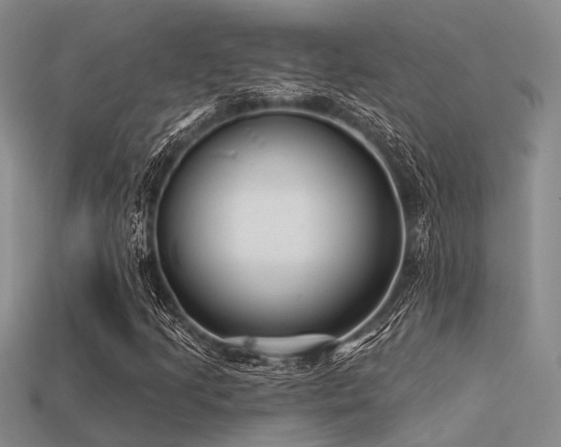 X0000113611205200909181412