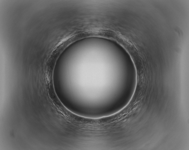 X0000113611206200909181412