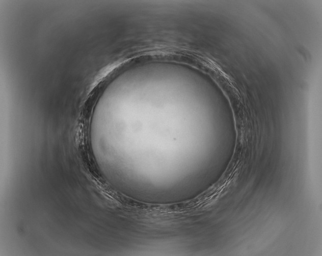 X0000113611208200909181412