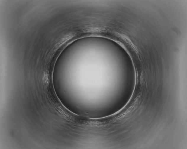 X0000113611209200909181412