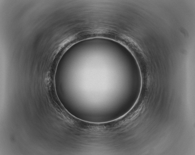 X0000113611210200909181412
