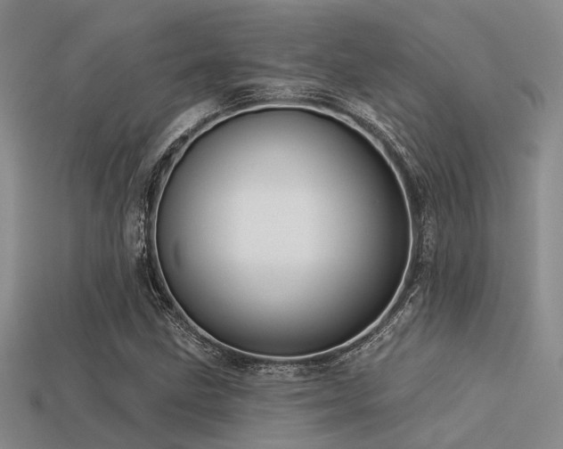 X0000113611211200909181412