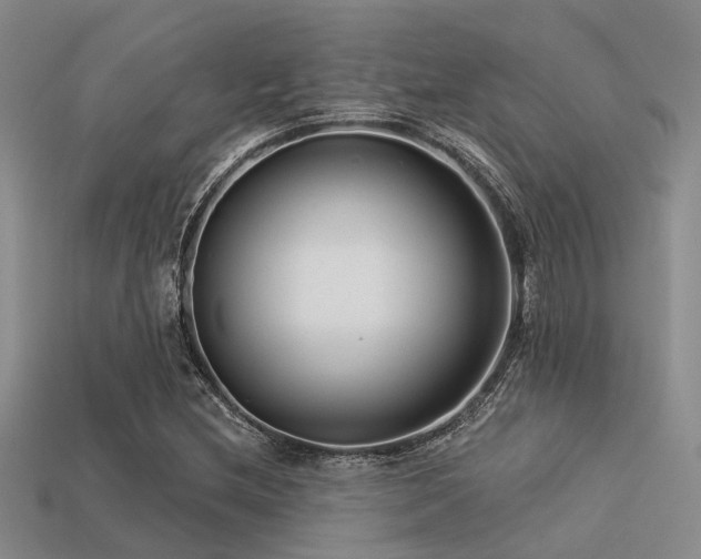 X0000113611212200909181412
