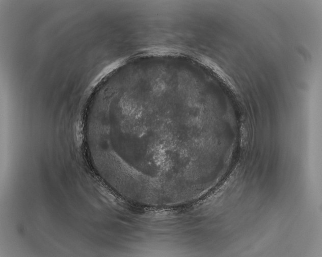 X0000113611213200909181412