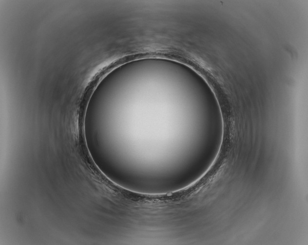 X0000113611214200909181412