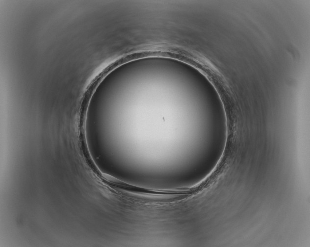 X0000113611216200909181412