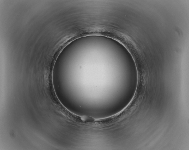 X0000113611217200909181412