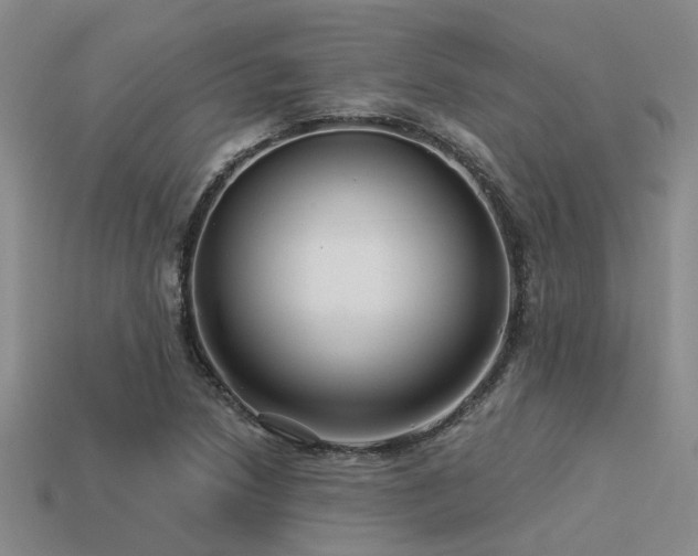 X0000113611218200909181412