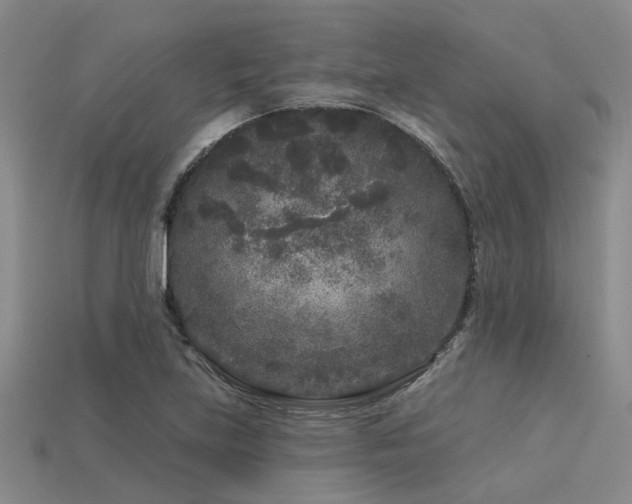 X0000113611219200909181412